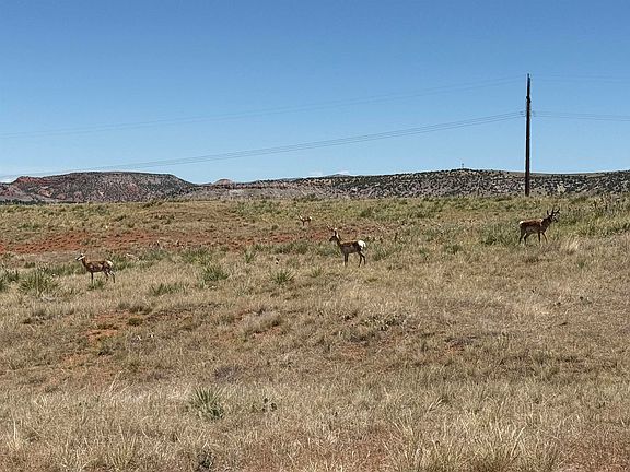 4th image of LOT 31 Red Rim Rd
