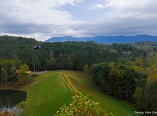 81 Lillie Dr, Ellijay, GA 30540