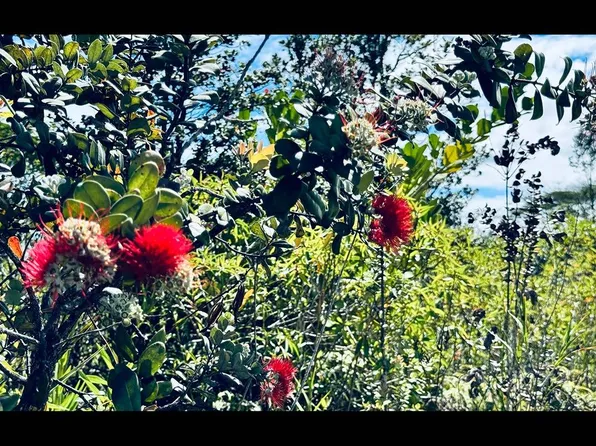 Loke Rd Lot 3055, Keaau, HI 96749