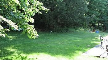 2nd image of 1360 Martins Creek Rd
