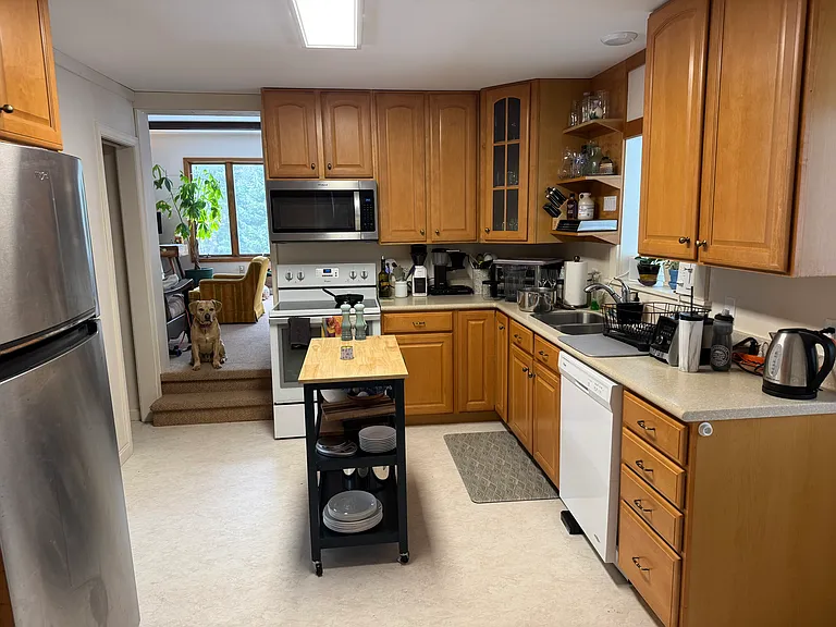 29 Webster Rd — Photo 4