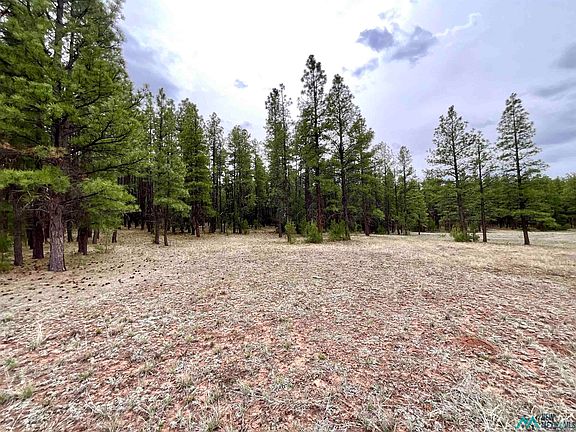 5th image of Forest Rd #157