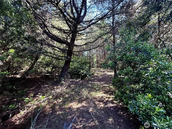 361 S Wynoochee Drive SW, Ocean Shores, WA 98569