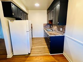 1BR/1Bath Apartment in Roanoke Historic Disctrict!