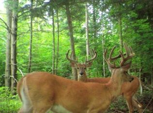 20 Acres (0993) Nolan Rd, Aniwa, WI 54408