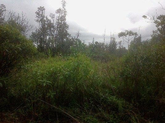 1st image of Kaloli Dr Lot 1895
