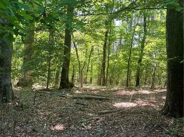 0 Palmer Rd Tract 1, Westfield, NC 27053