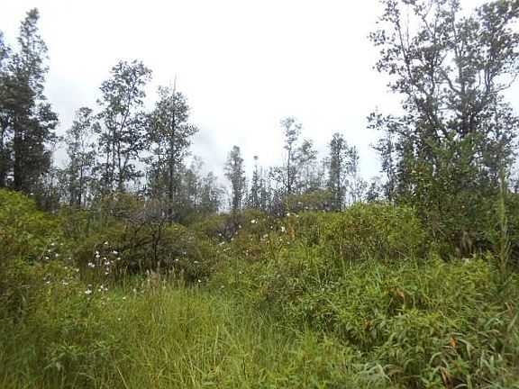 3rd image of Uilani Dr Lot 60