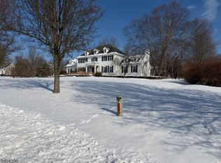 20 Northwood Dr, Pittstown, NJ 08867