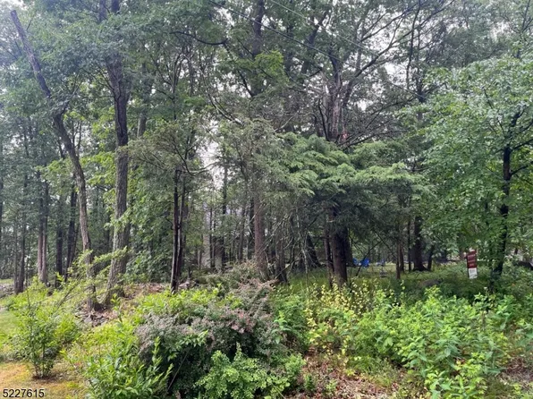 40 Summit Cir, Vernon Twp., NJ 07461