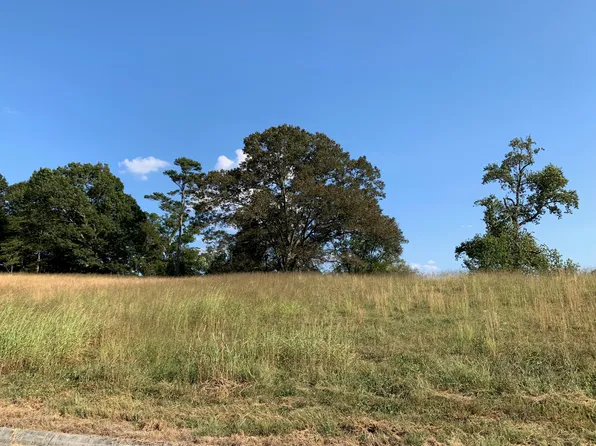 181 River Stone Dr, Blaine, TN 37709