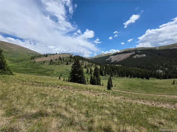 15743 Big Johnnie 13, Leadville, CO 80461