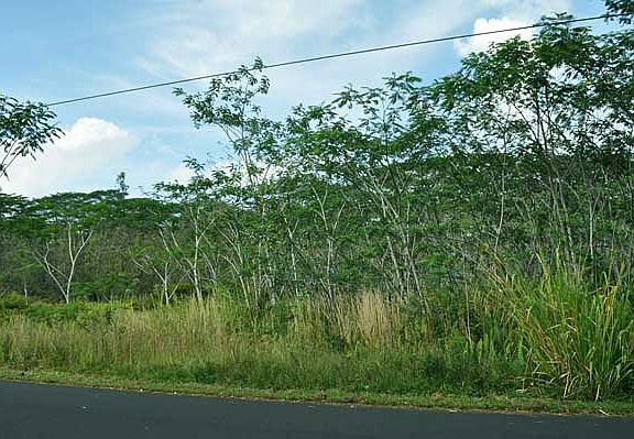 4th image of Kahukai St Lot 45