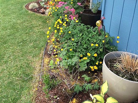 Front gardens