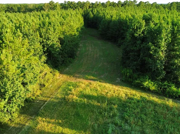 0 Billy Sessums Rd, Morton, MS 39117