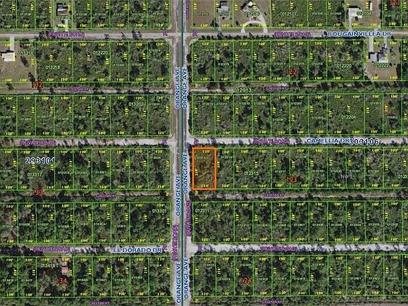2nd image of Camellia Dr