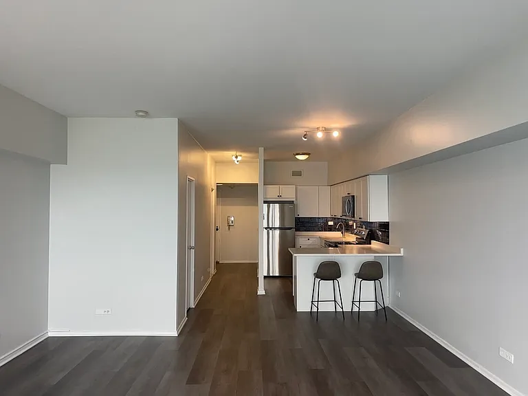 175 E Delaware Pl #5004 — Photo 6