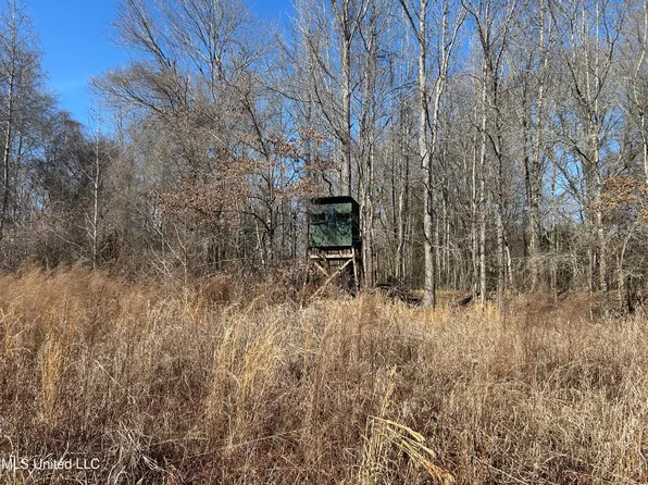 1296 Scotland Rd, Bentonia, MS 39040