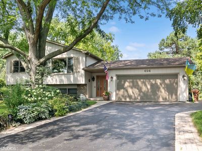 624 Pauline Ct, Gilberts, IL, 60136