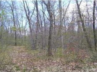 Rumur Ln, Pierson, MI 49339