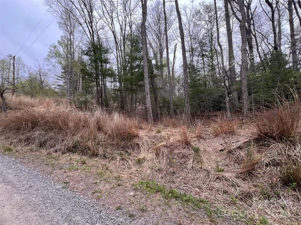 99999 Lee Dotson Rd, Fairview, NC 28730