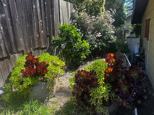 (undisclosed Address), Sebastopol, CA 95472