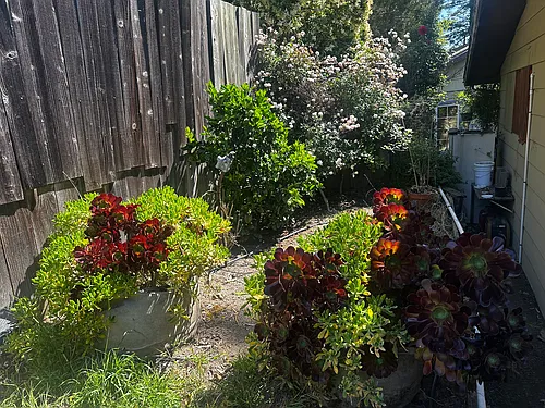 (Undisclosed Address) Photo 1