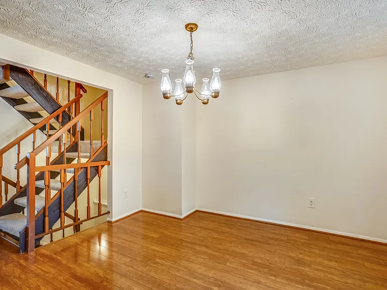 11504 Ivy Bush Ct — Photo 9