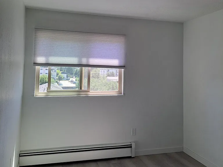 2541 Dingwall St #201 — Photo 15