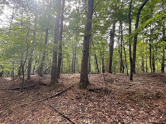 5th image of 15AC Satsuma Ct N