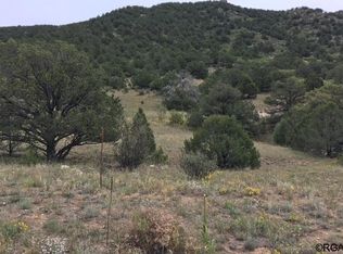 L49 Dave Dr, Canon City, CO 81212