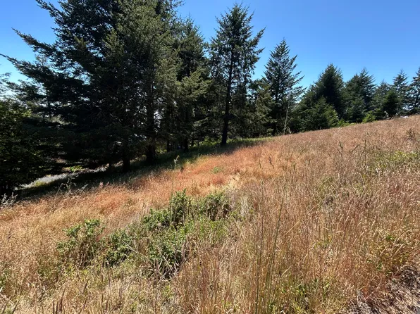 42 Vista Rd, Whitethorn, CA 95589