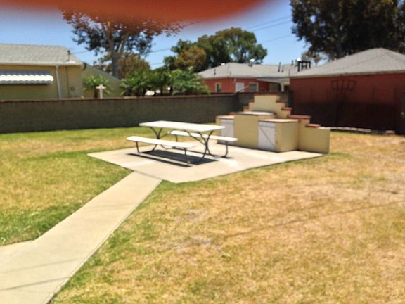 backyard looking west