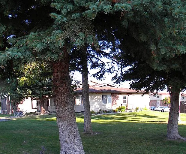 Broadwater Village
