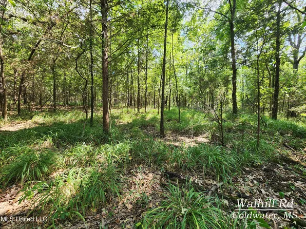 Walhill Rd Lot 9, Coldwater, MS 38618