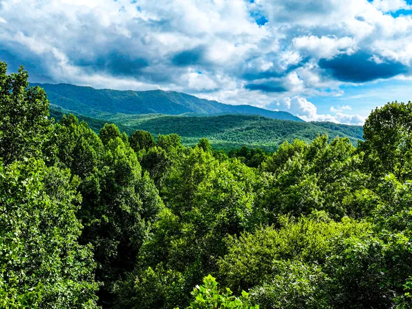 Angie Ln, Gatlinburg, TN 37738