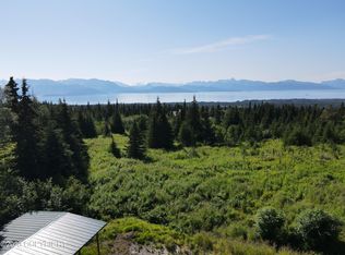 55225 Finch Ave, Homer, AK 99603