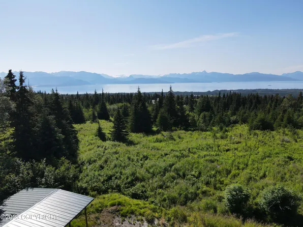 55225 Finch Ave, Homer, AK 99603