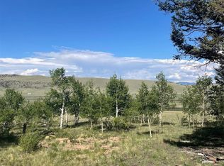 1148 Redhill Rd #141, Fairplay, CO 80440