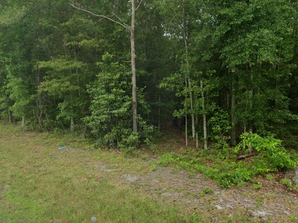 Tbd Charleston Highway, Hampton, SC 29924