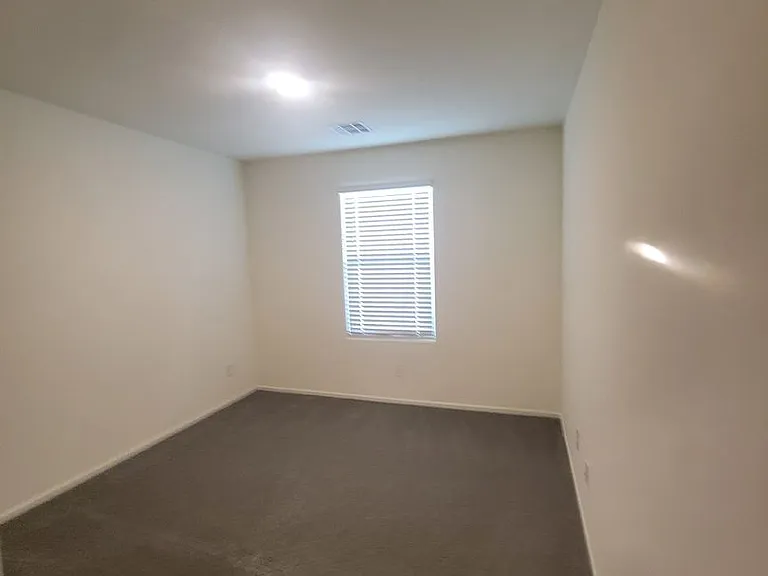 9931 Apricot Hills St — Photo 13