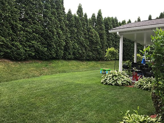 Private back yard
