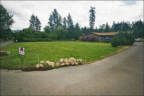 House and Front Yard