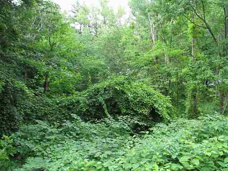 4th image of 00 CRESTWOOD Lane