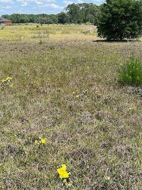 1st image of BAYAMON AVENUE LOT 280