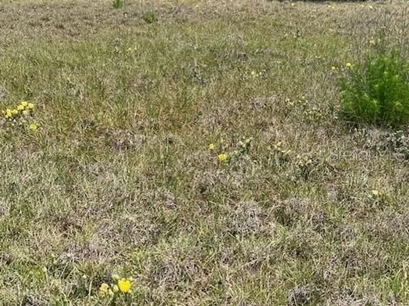 Bayamon Avenue Lot #280, Polk City, FL 33868