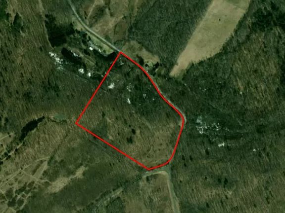 2nd image of 0 Buddle Rd Lot 19