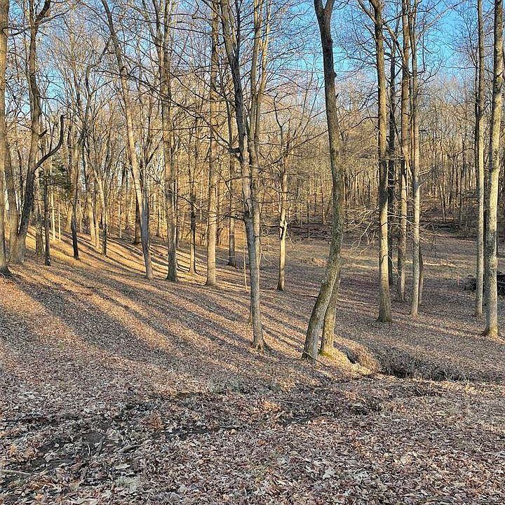 2nd image of 0 Claypool Boyce Rd