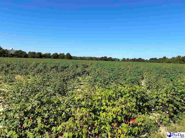 Talon Plant Rd, Bennettsville, SC 29512