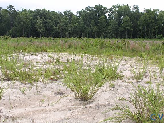 5th image of Tbd2 Black Branch Rd